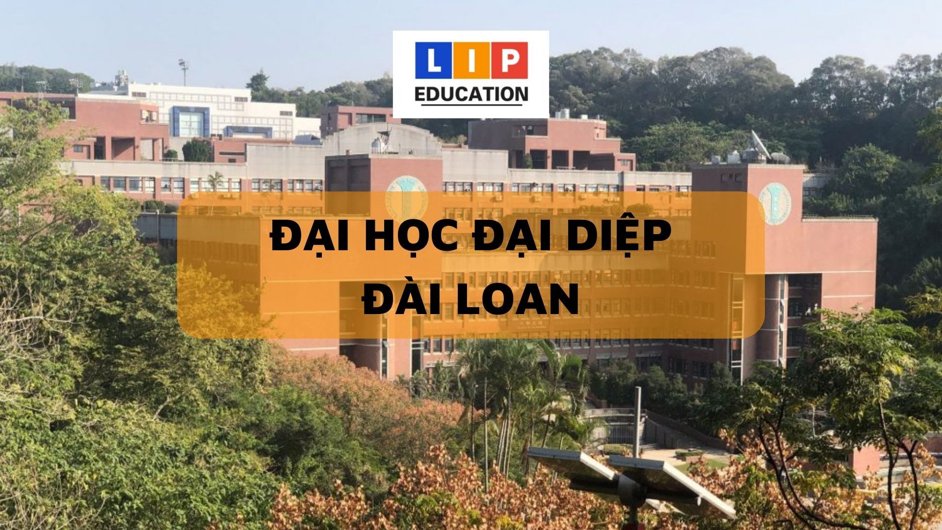 Đại Học Đại Diệp – Đại Học Theo Phong Cách Của Đức